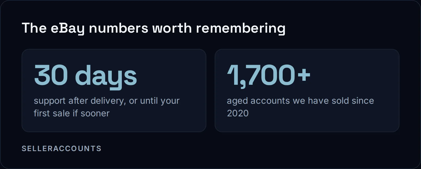 The eBay numbers worth remembering. 30 days - support after delivery, or until your first sale if sooner; 1,700+ - aged accounts we have sold since 2020